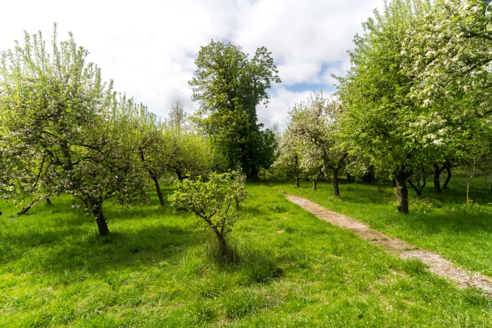 Gartenbungalow 2 rechte Seite-Gebieden zomer 1km