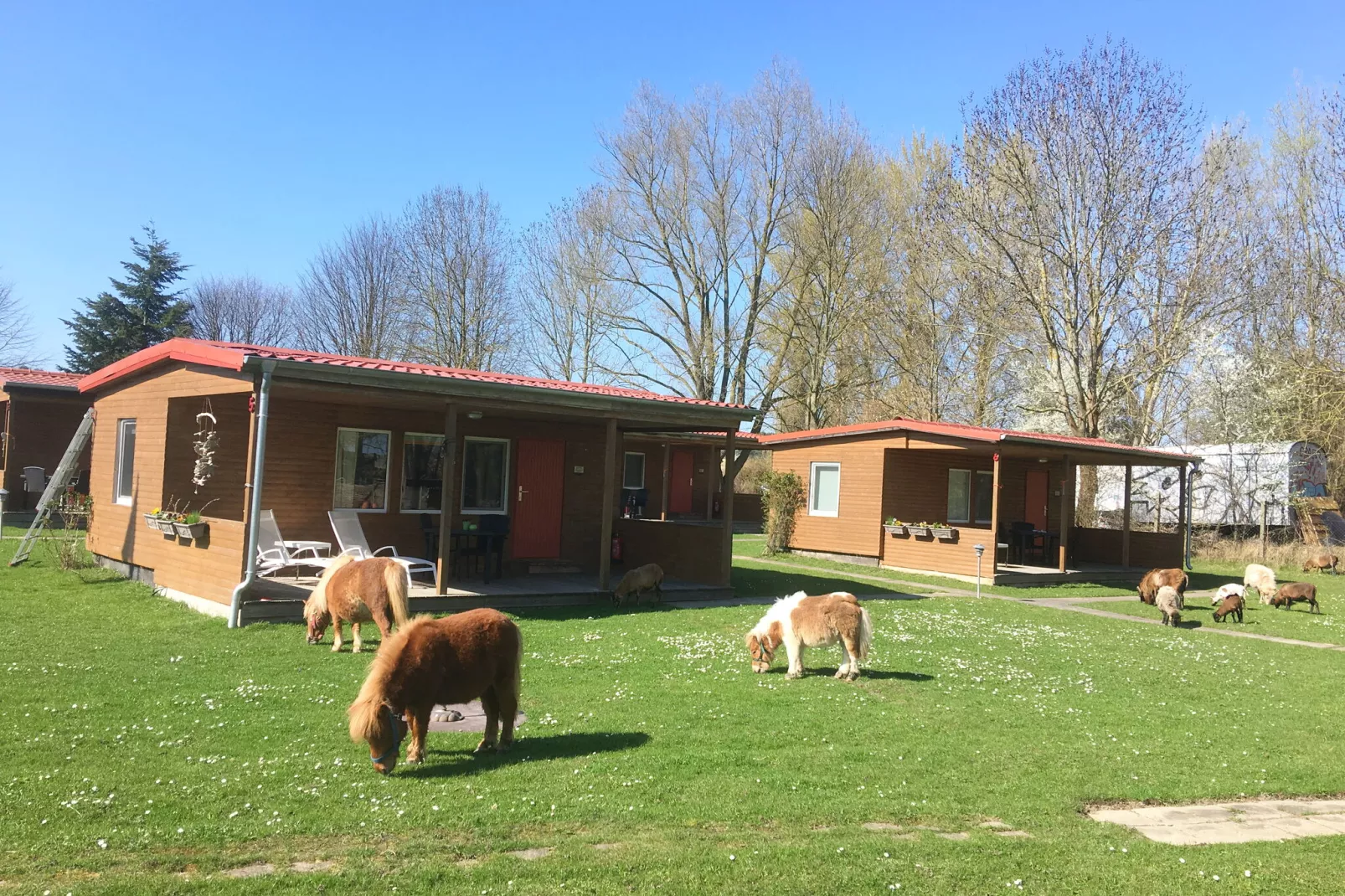 Vakantiehuis op de backwaters, Lütow-Gebieden zomer 5km