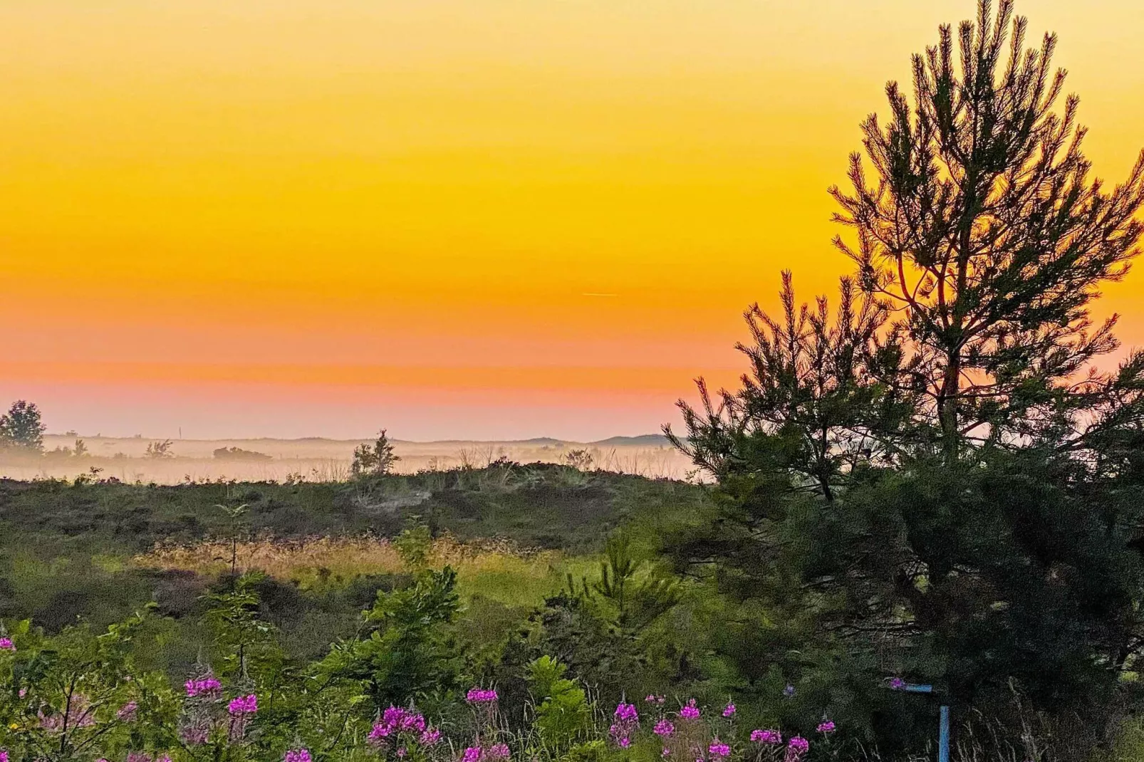 7 persoons vakantie huis in Læsø-Buitenlucht