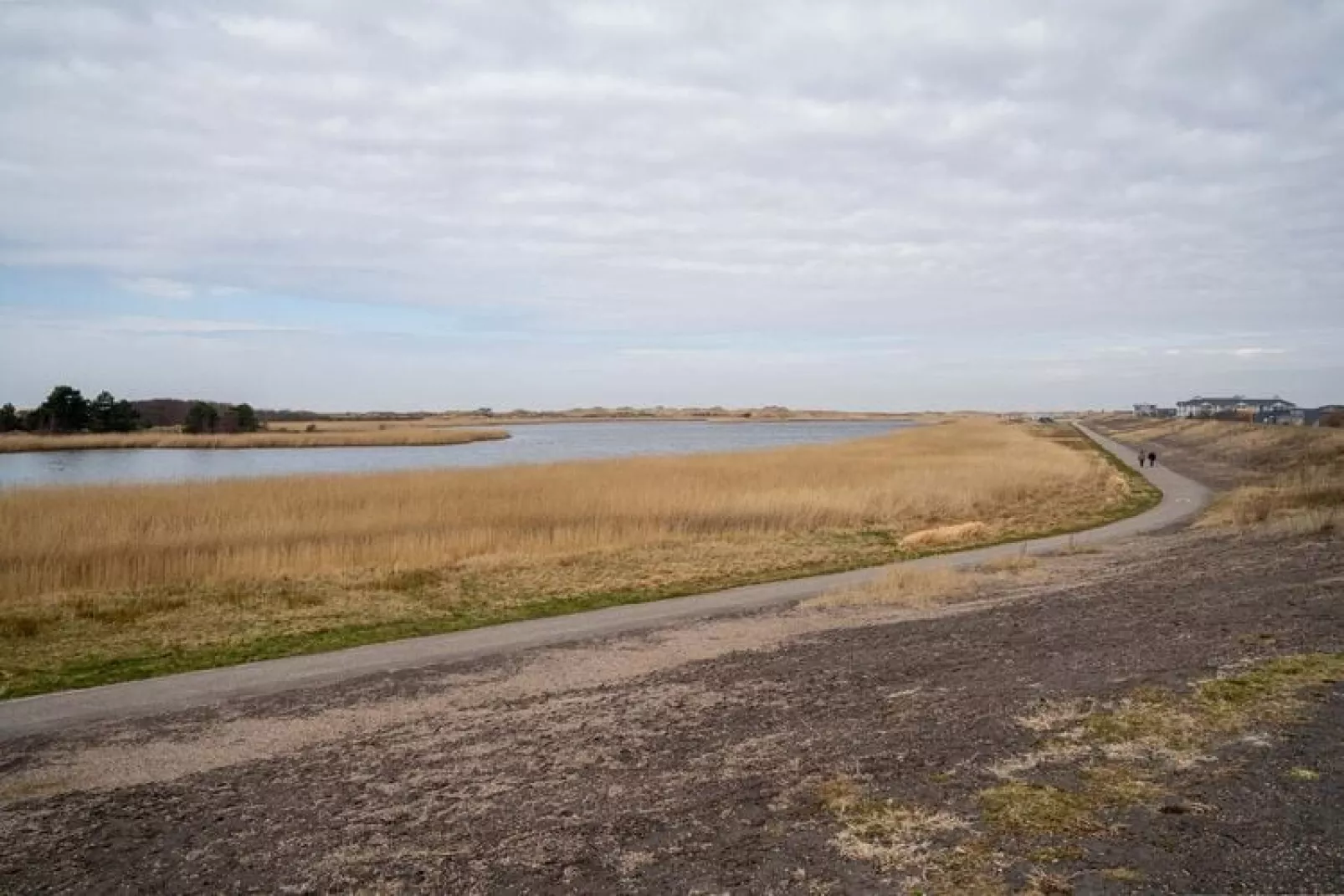 Ferienwohnung Deichlamm St Peter-Ording-Gebieden zomer 20km