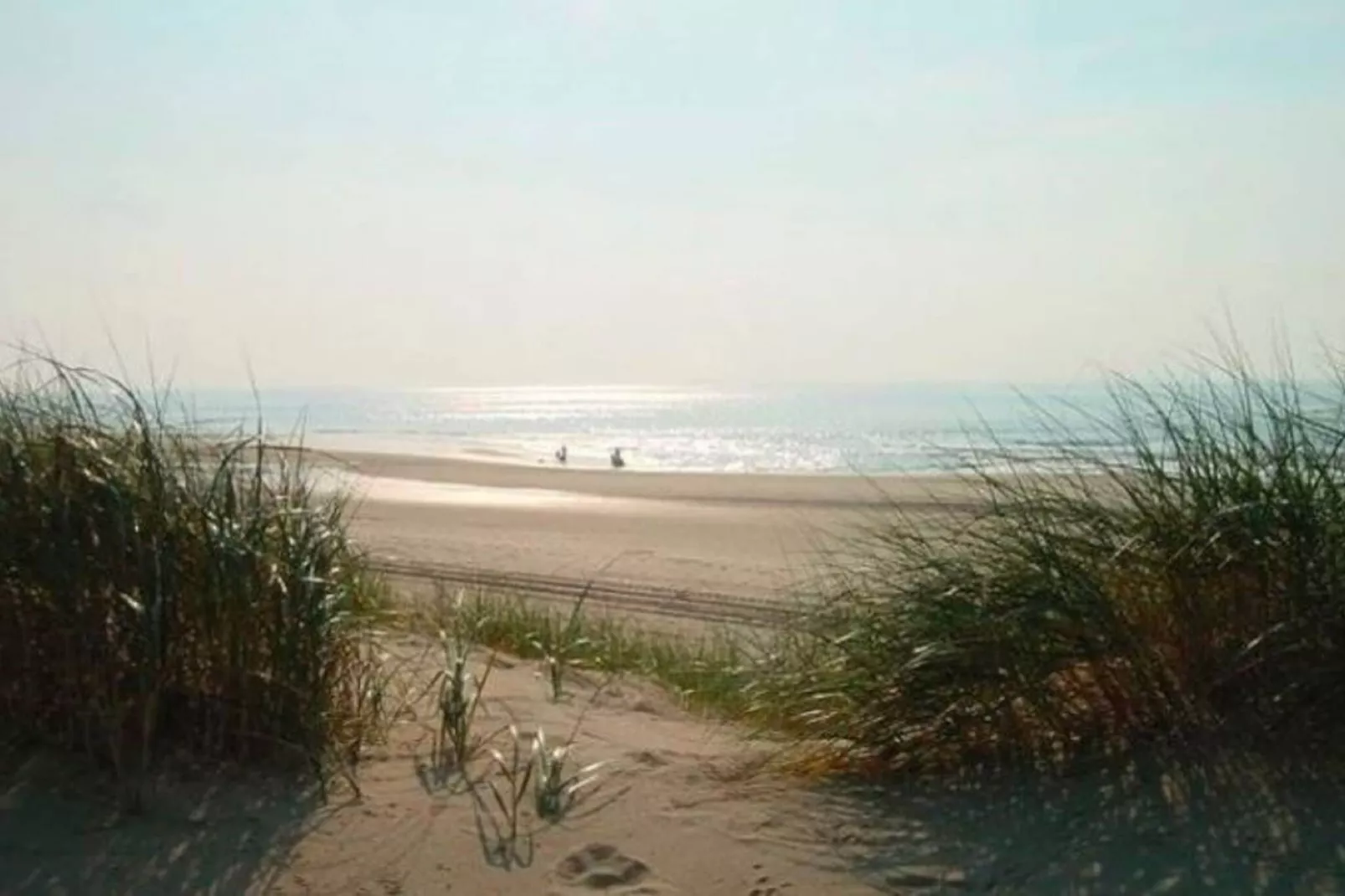 Helmgras I-Gebieden zomer 20km