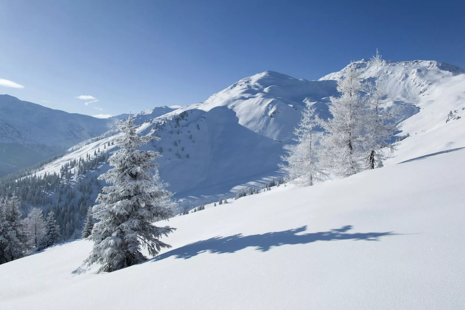 Chalet Schiestl-Gebied winter 20km