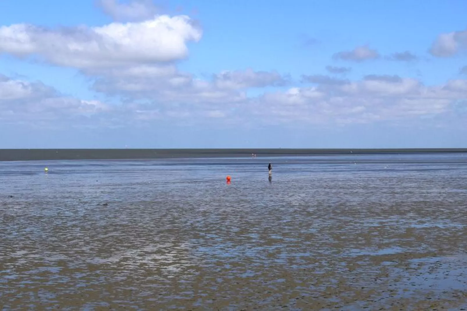 Reihenhaus Nordlicht-Waterzicht