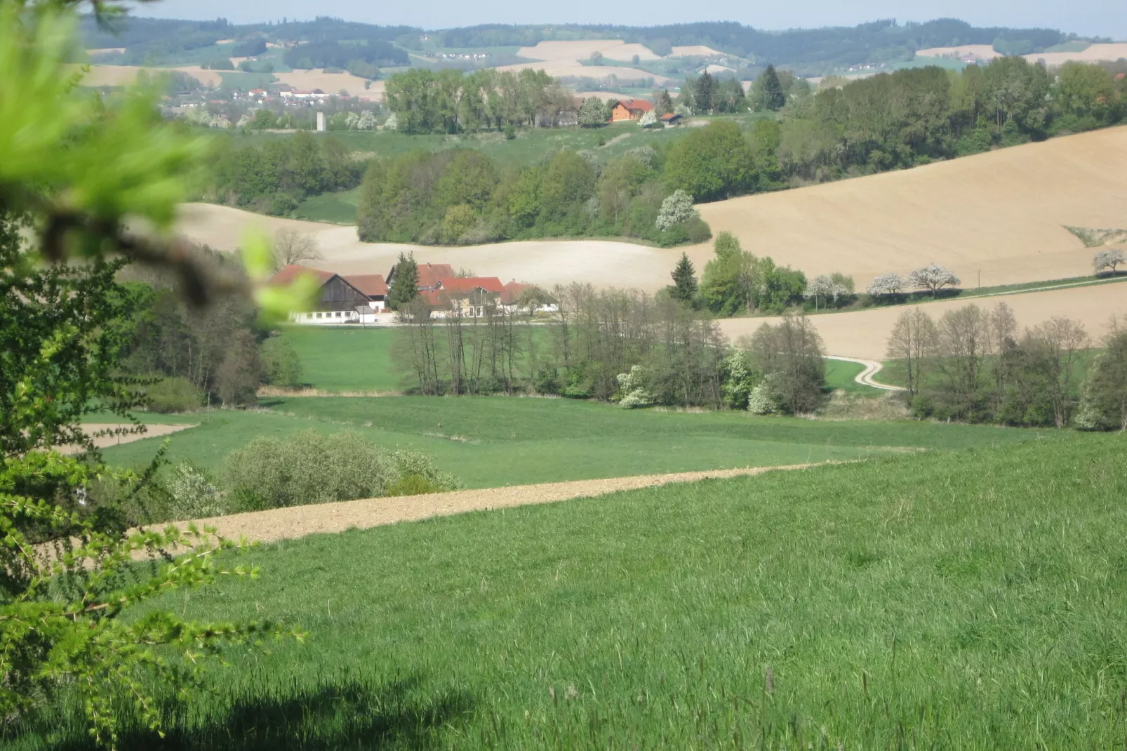 Am Ferienhof-Uitzicht zomer