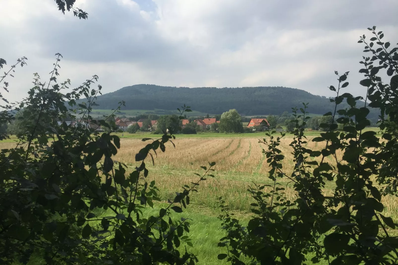 Het Zwaluwnest-Gebieden zomer 5km