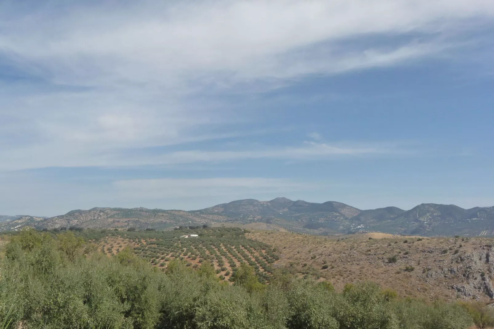 Cortijo El Morron-Uitzicht zomer