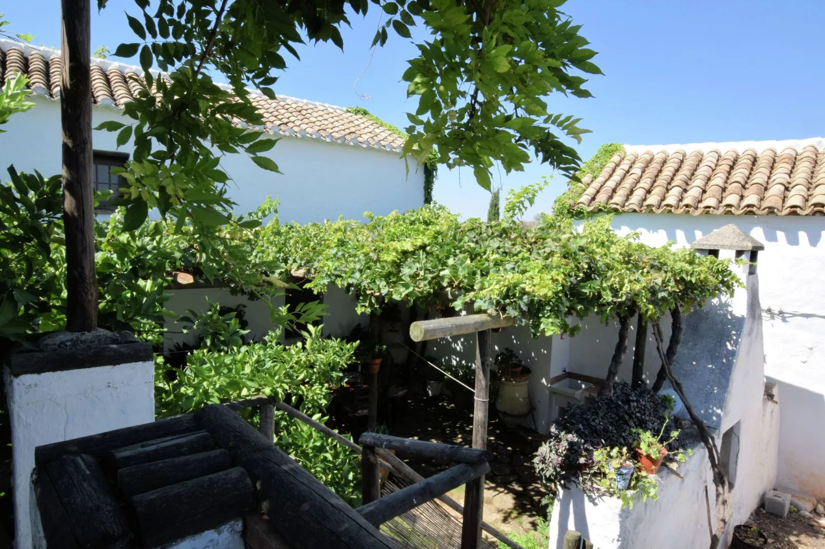 Cortijo El Morron-Tuinen zomer