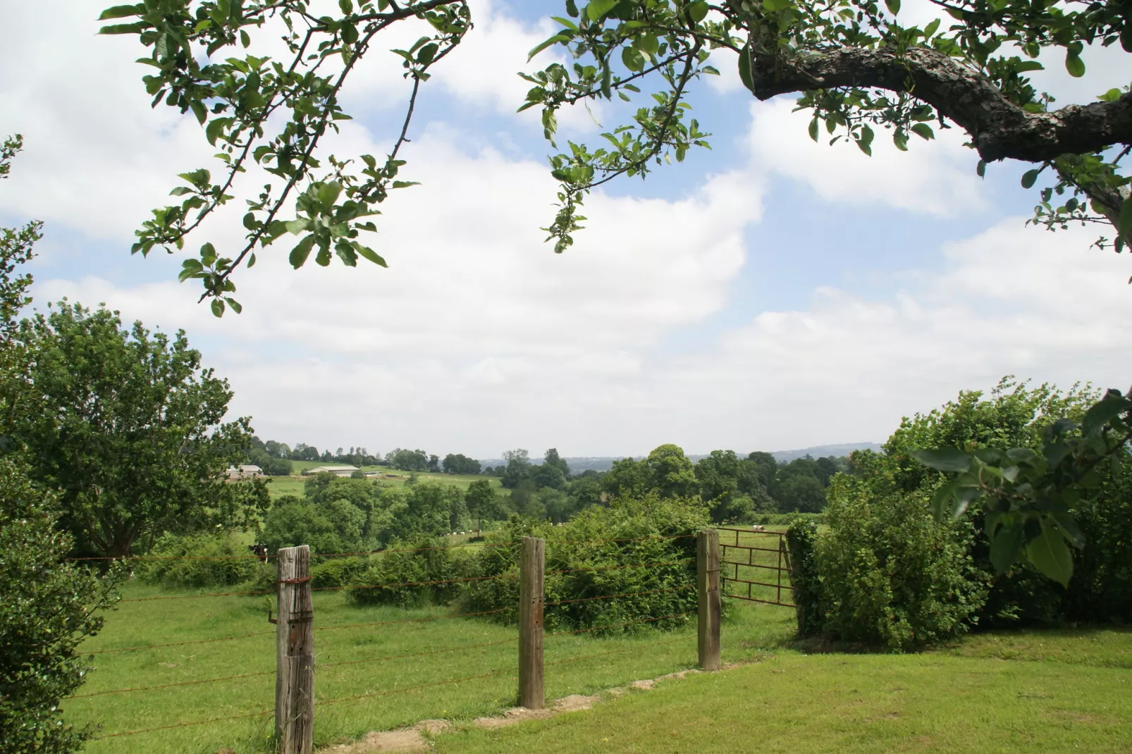 Maison de vacances Montaigu les Bois-Uitzicht zomer