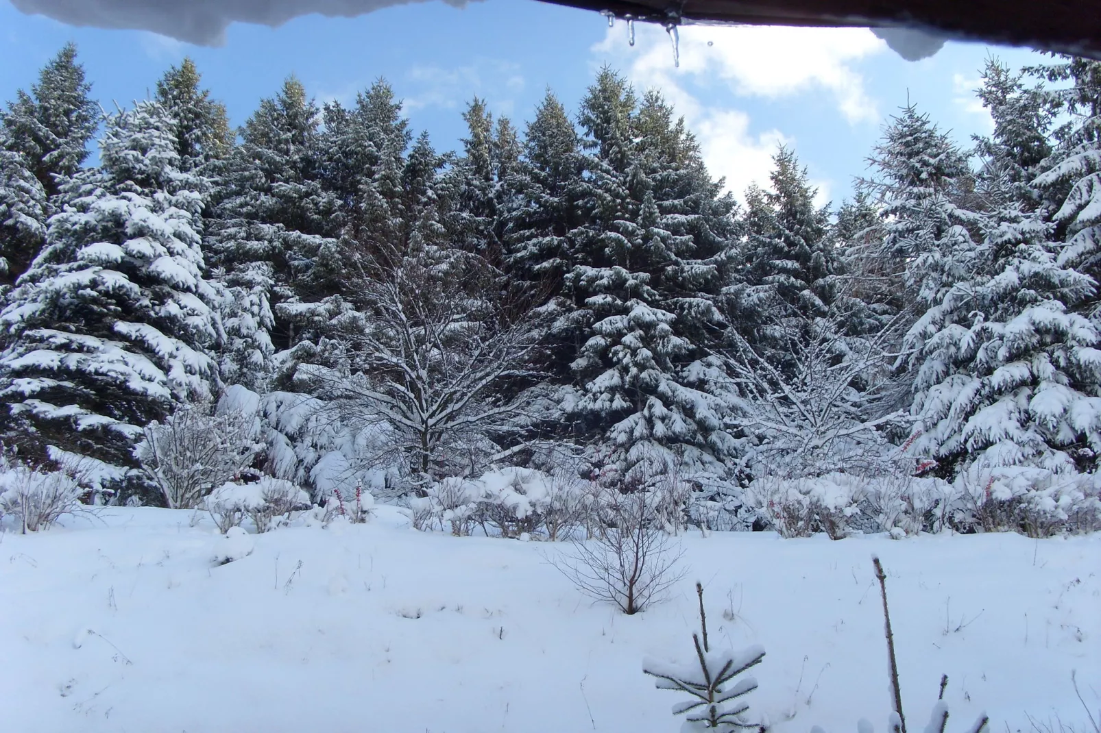 Willingen-Tuin winter