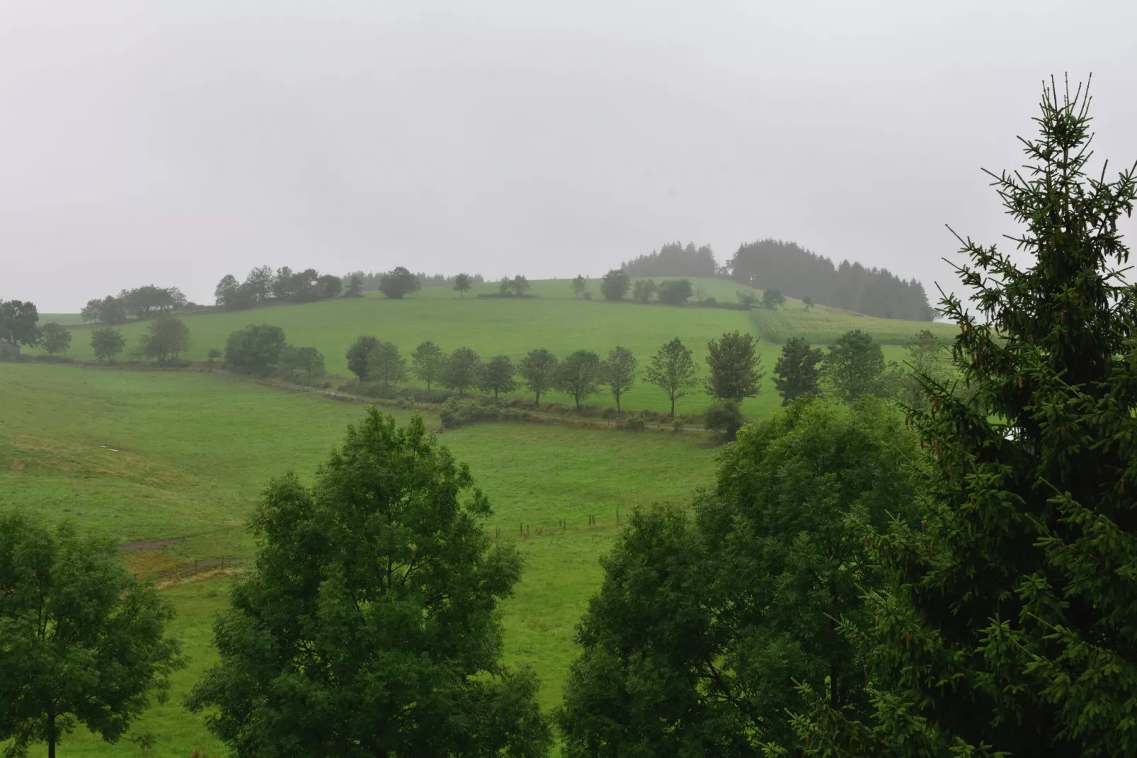 Willingen-Uitzicht zomer