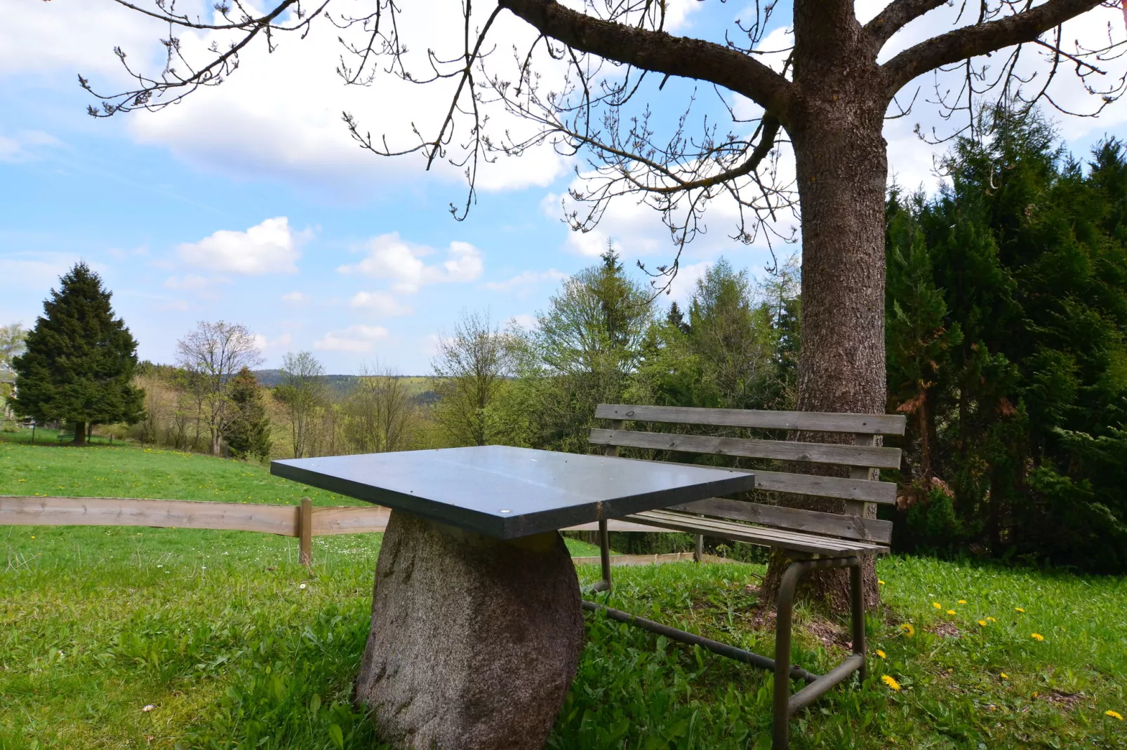 Thüringer Wald-Tuinen zomer