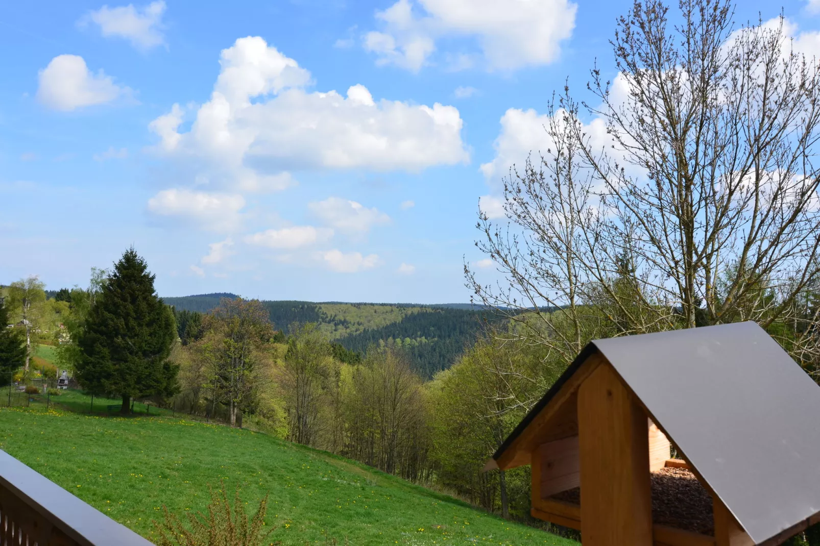 Thüringer Wald-Uitzicht zomer