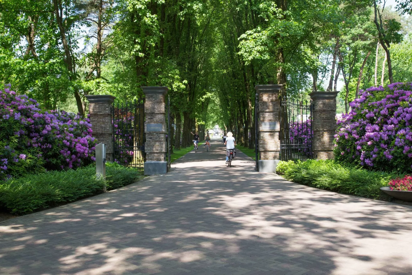 Landgoed De Scheleberg 21-Gebieden zomer 1km