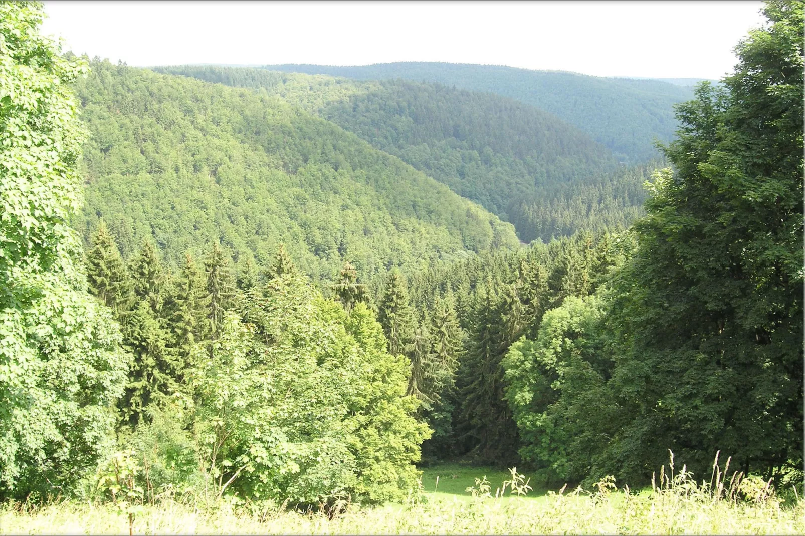 Appartement bij het bos in Frauenwald Thüringen-Gebieden zomer 5km