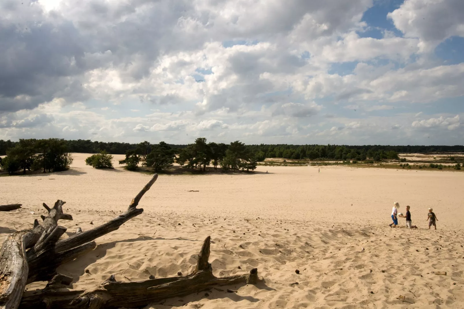 Recreatiepark Duinhoeve 7-Gebieden zomer 1km