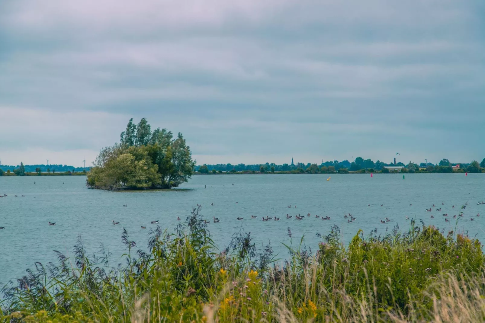 Resort Ijsselmeer 6-Gebieden zomer 5km