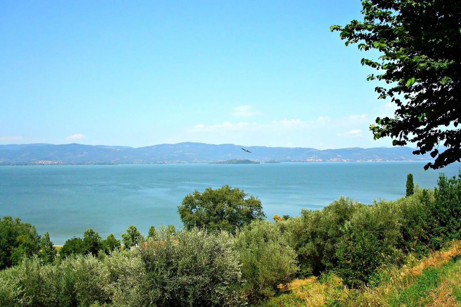 Appartamento Casale dei Girasoli-Gebieden zomer 20km