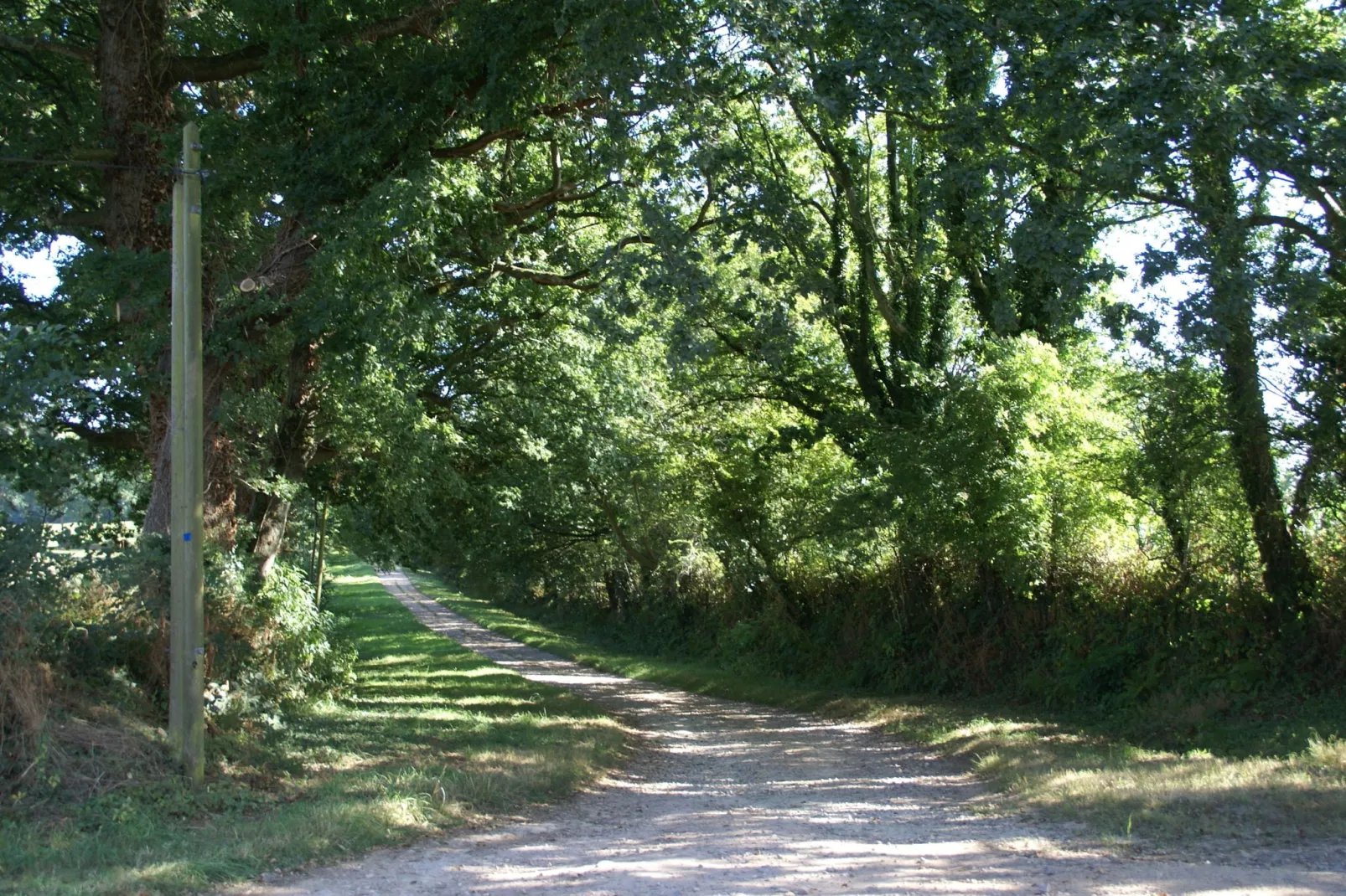 Maison de vacances Valognes-Gebieden zomer 1km