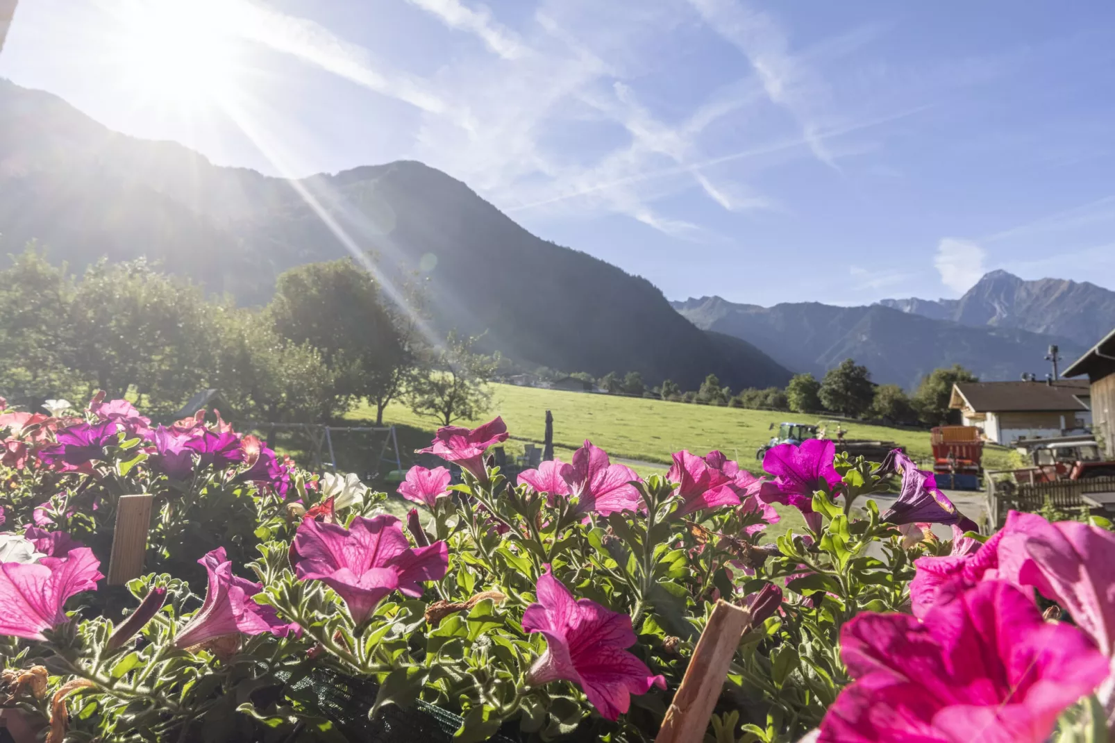 Moiklerhof-Uitzicht zomer