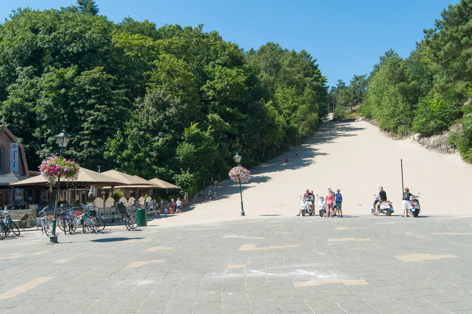 Park Westerweide 8-Gebieden zomer 5km