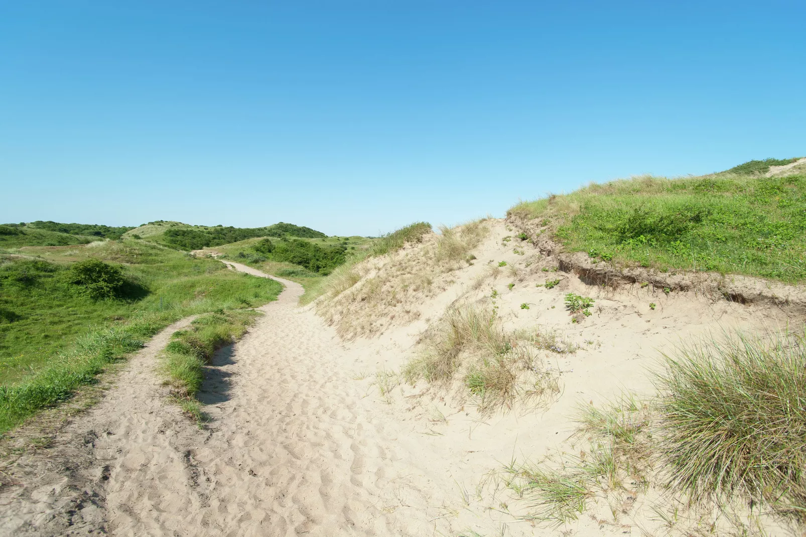 Sea Lodges Bloemendaal 4-Gebieden zomer 20km