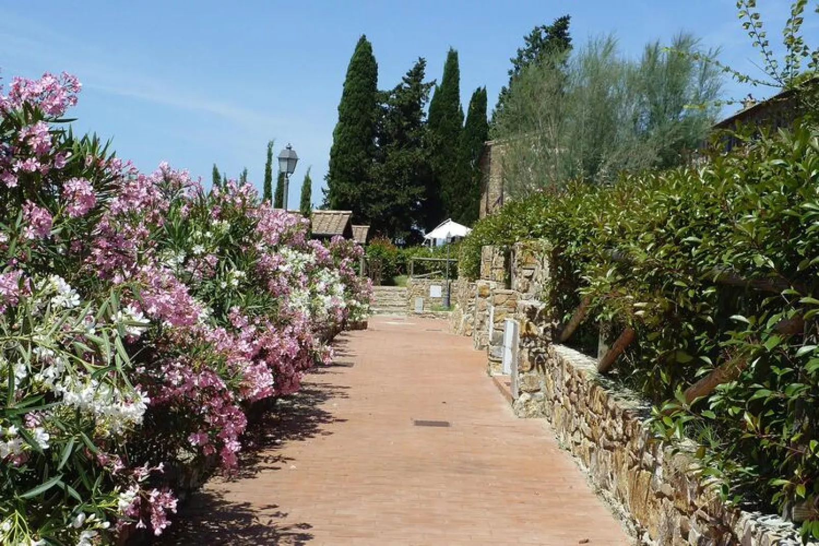 Holiday resort Antico Borgo Casalappi Campiglia Marittima - Type Trilo C-piano terra terrazza-Buitenkant zomer