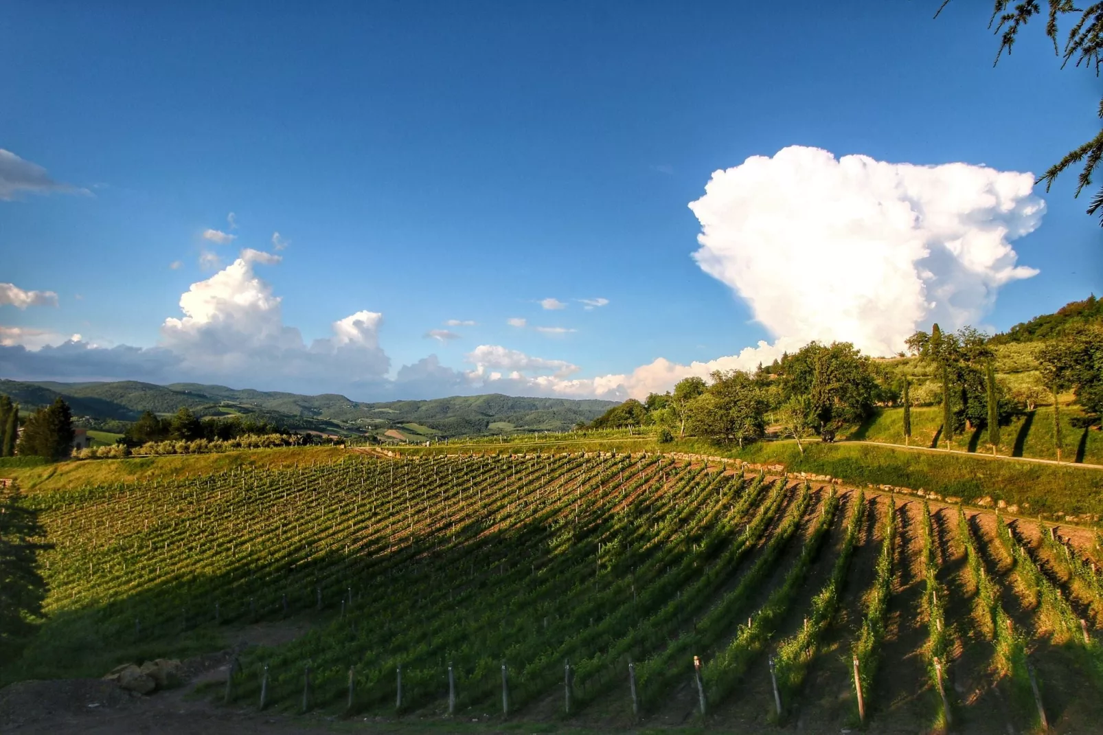 Villa Ulivo-Gebieden zomer 20km