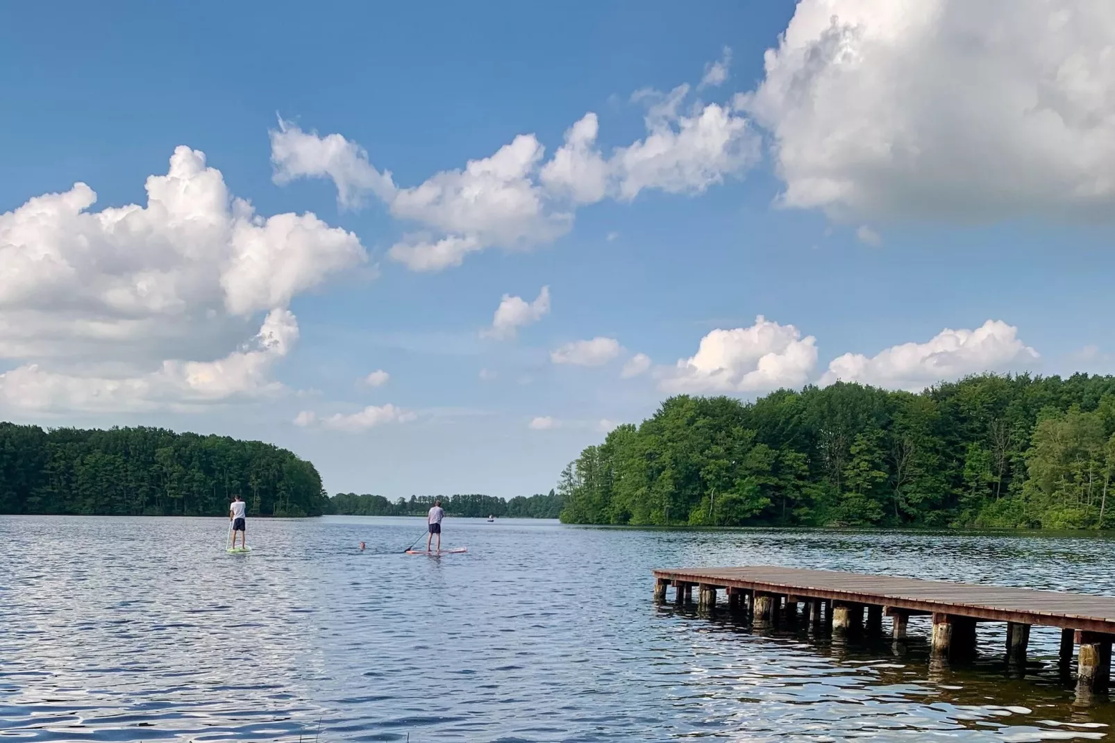 Seeblick 105 qm / 7 Personen-Gebieden zomer 1km