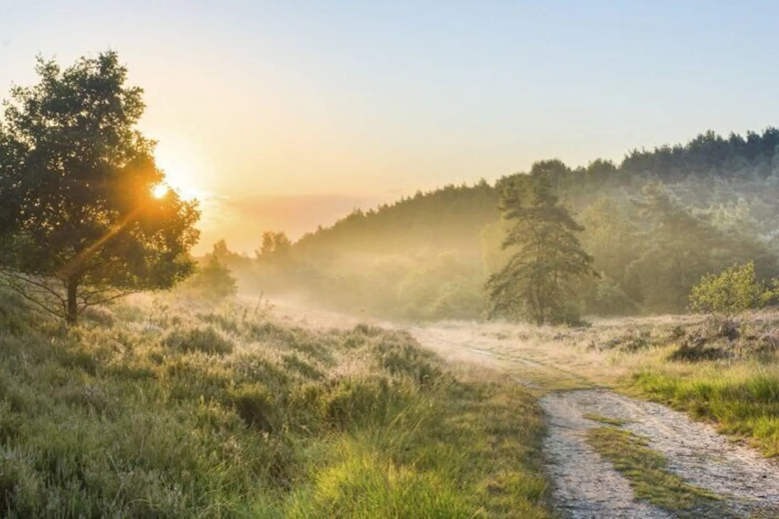 Resort Hoge Kempen 3-Gebieden zomer 20km