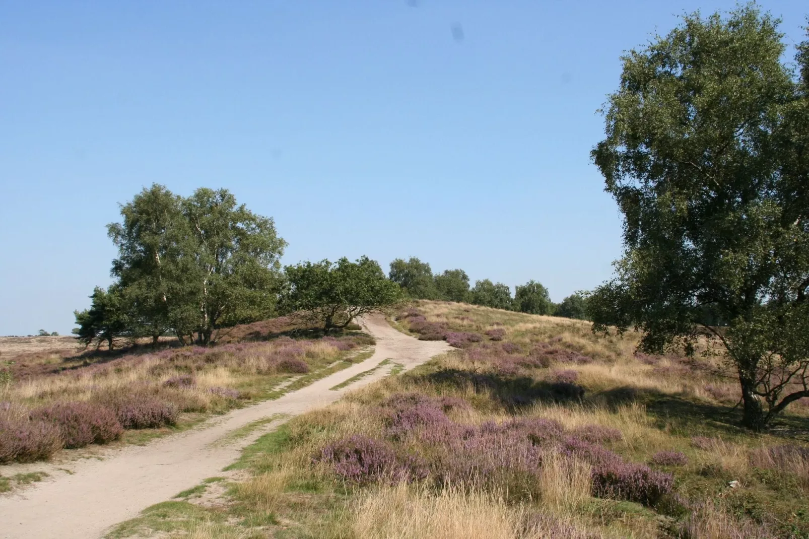 Resort Maasduinen 2-Gebieden zomer 5km