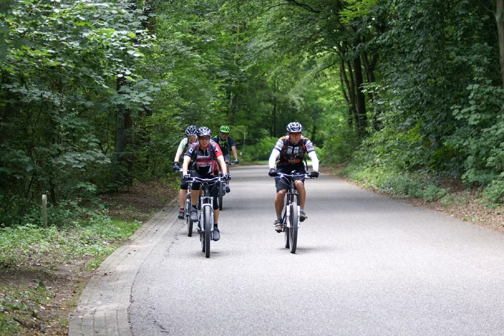 Resort Maasduinen 2-Gebieden zomer 5km