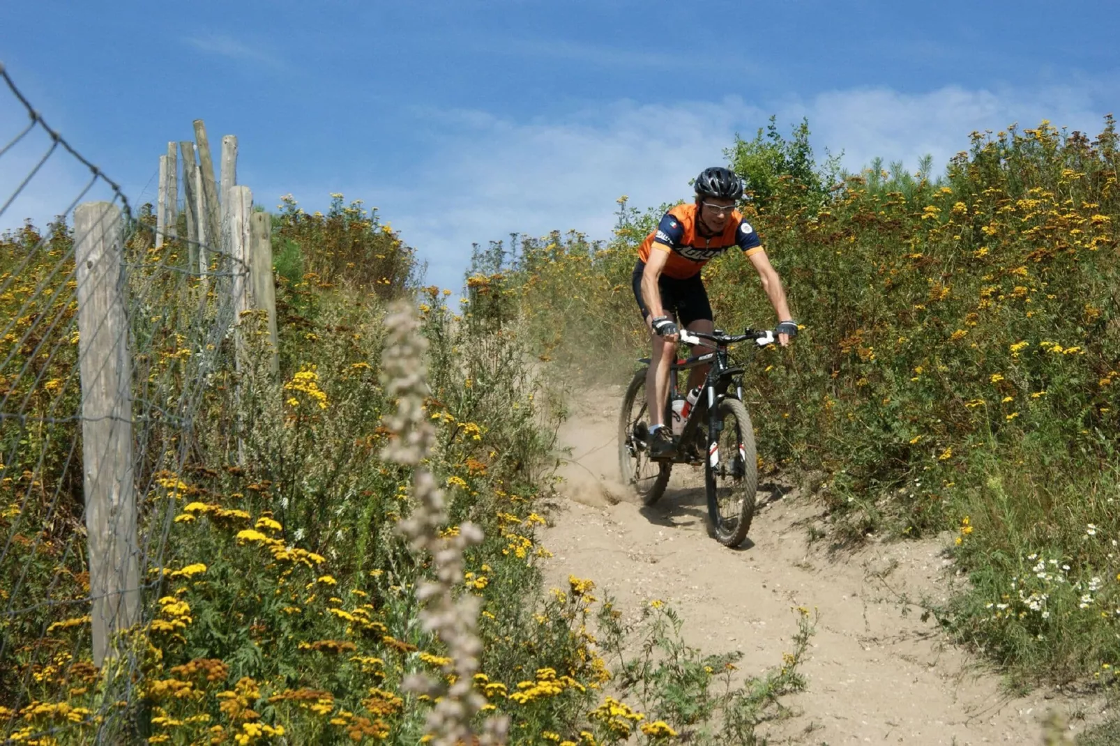 Resort Maasduinen 2-Gebieden zomer 5km