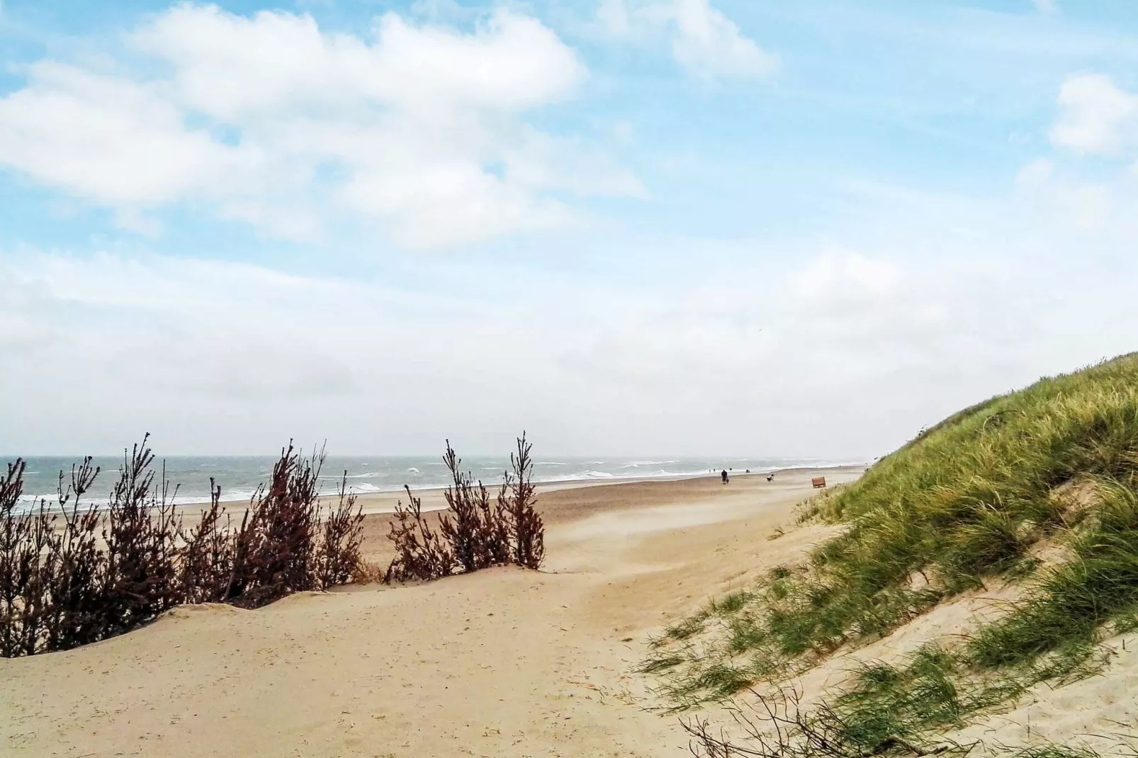 Verfrissend vakantiehuis in Harboøre dicht bij de zee-Uitzicht