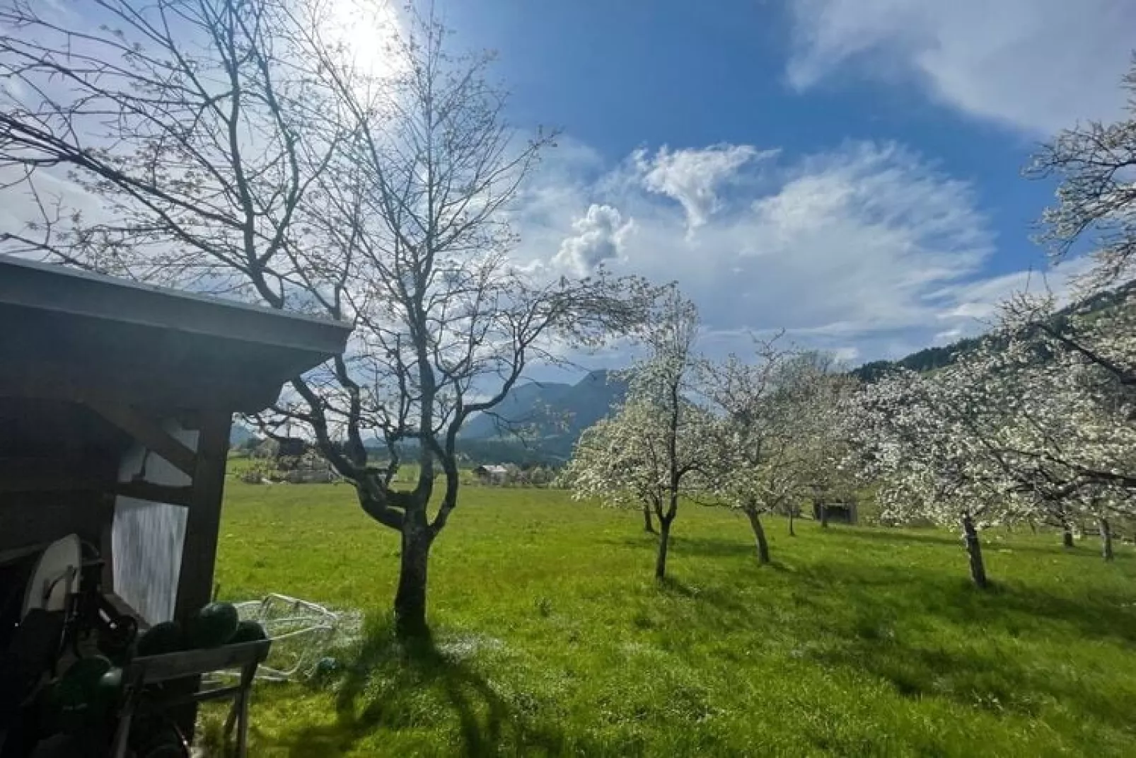 Ferienhaus am Wilden Kaiser-Buitenkant zomer