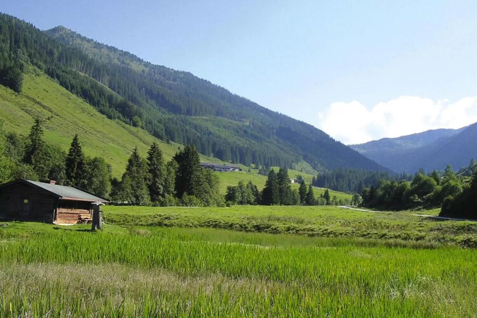 Apartments Schatzberg-Haus, Wildschönau-Auffach-Typ C-Uitzicht zomer