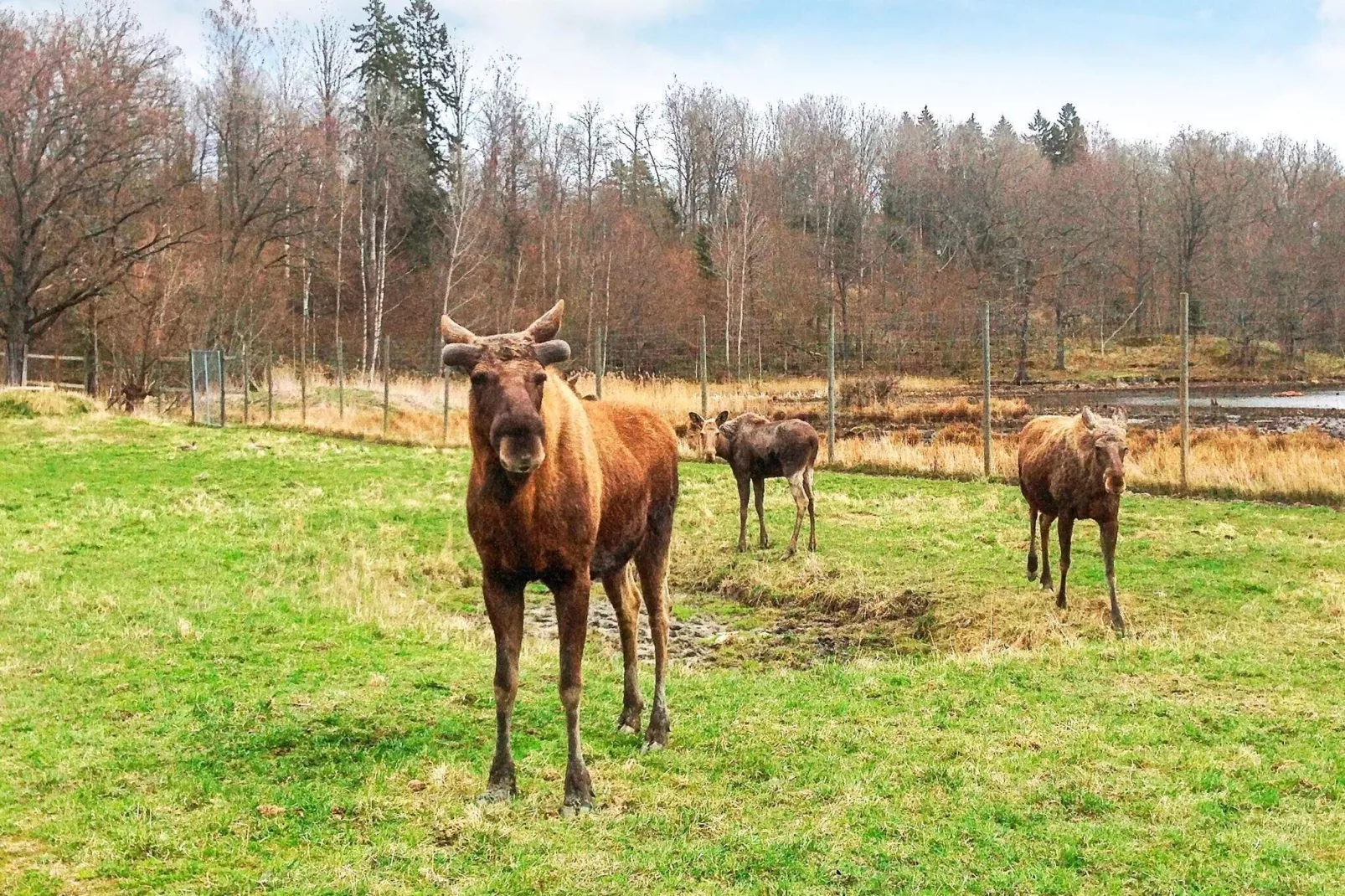 6 persoons vakantie huis in STJÄRNHOV-By Traum-Niet-getagd