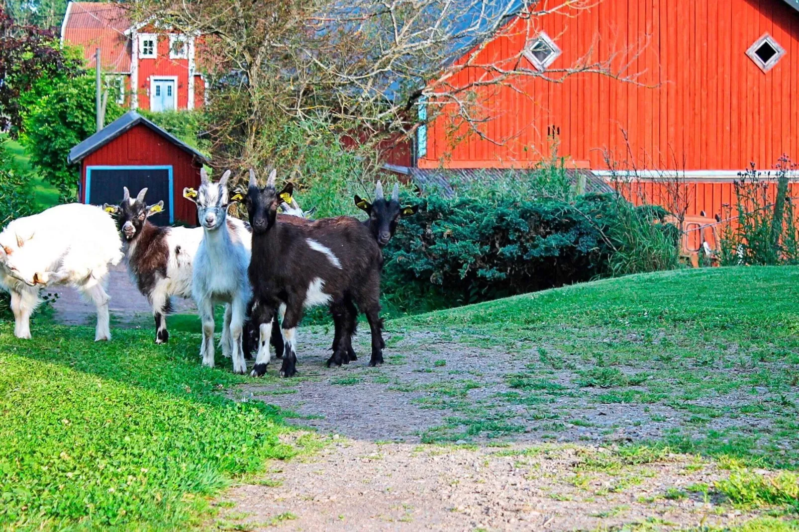 6 persoons vakantie huis in STJÄRNHOV-By Traum-Niet-getagd