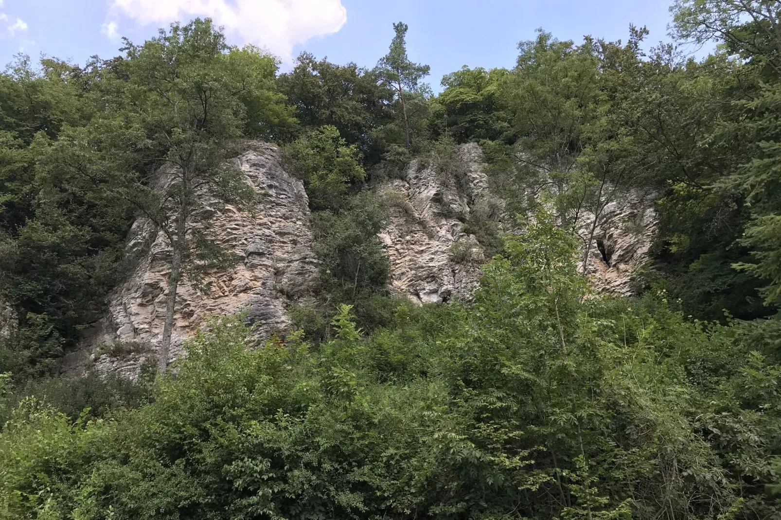 Eifelpark 9-Gebieden zomer 20km