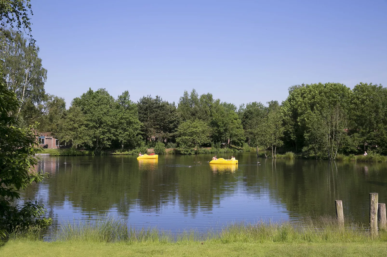 Vakantiepark Weerterbergen 5-Uitzicht zomer