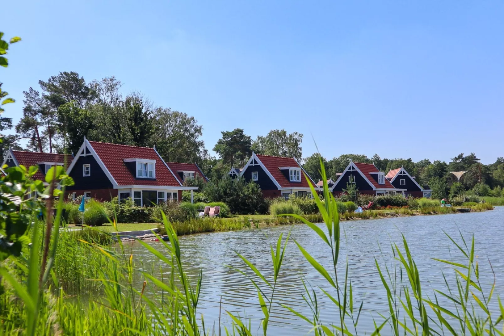 Resort De Zanding 1-Gebieden zomer 1km