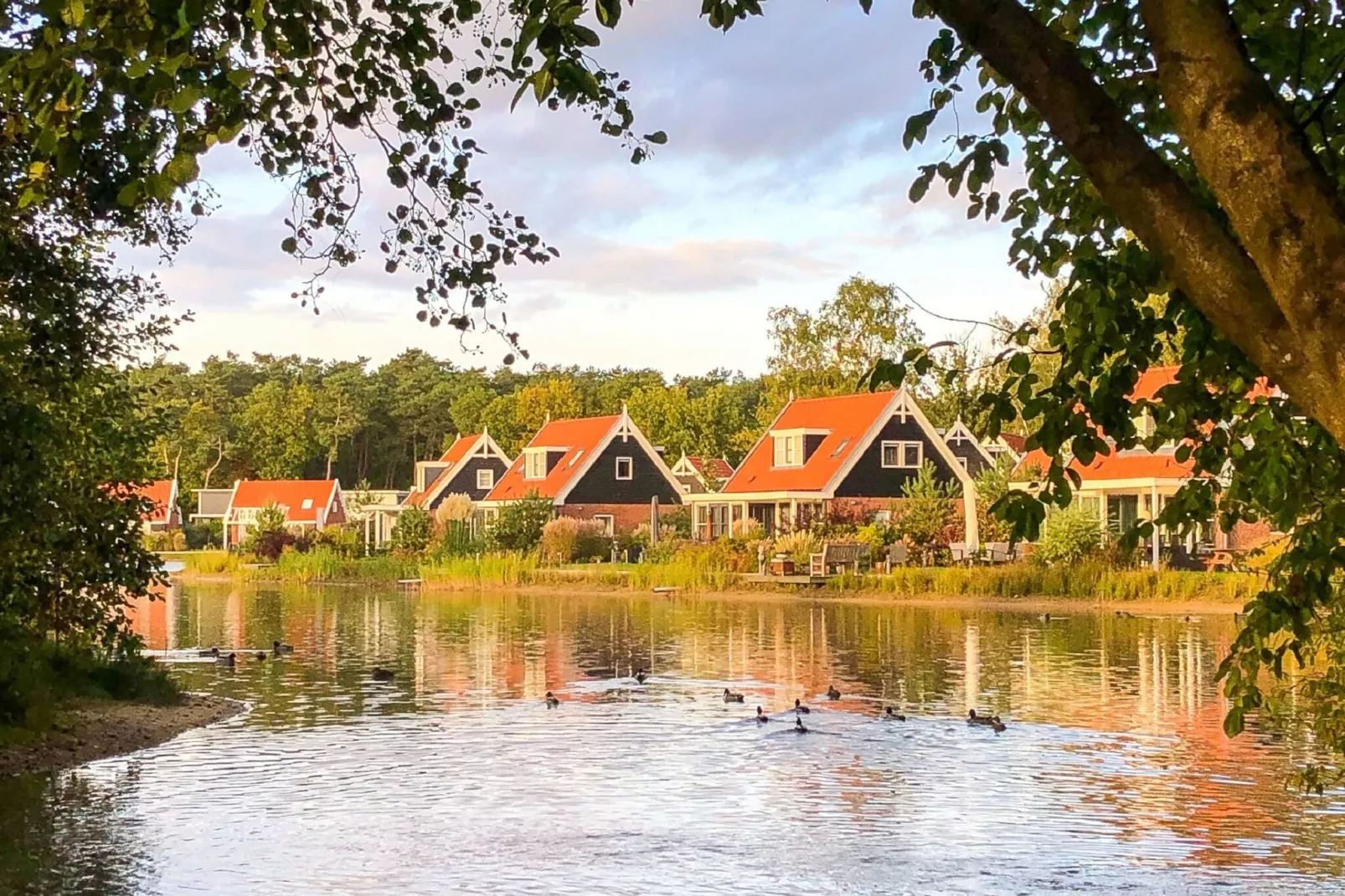 Resort De Zanding 3-Gebieden zomer 1km