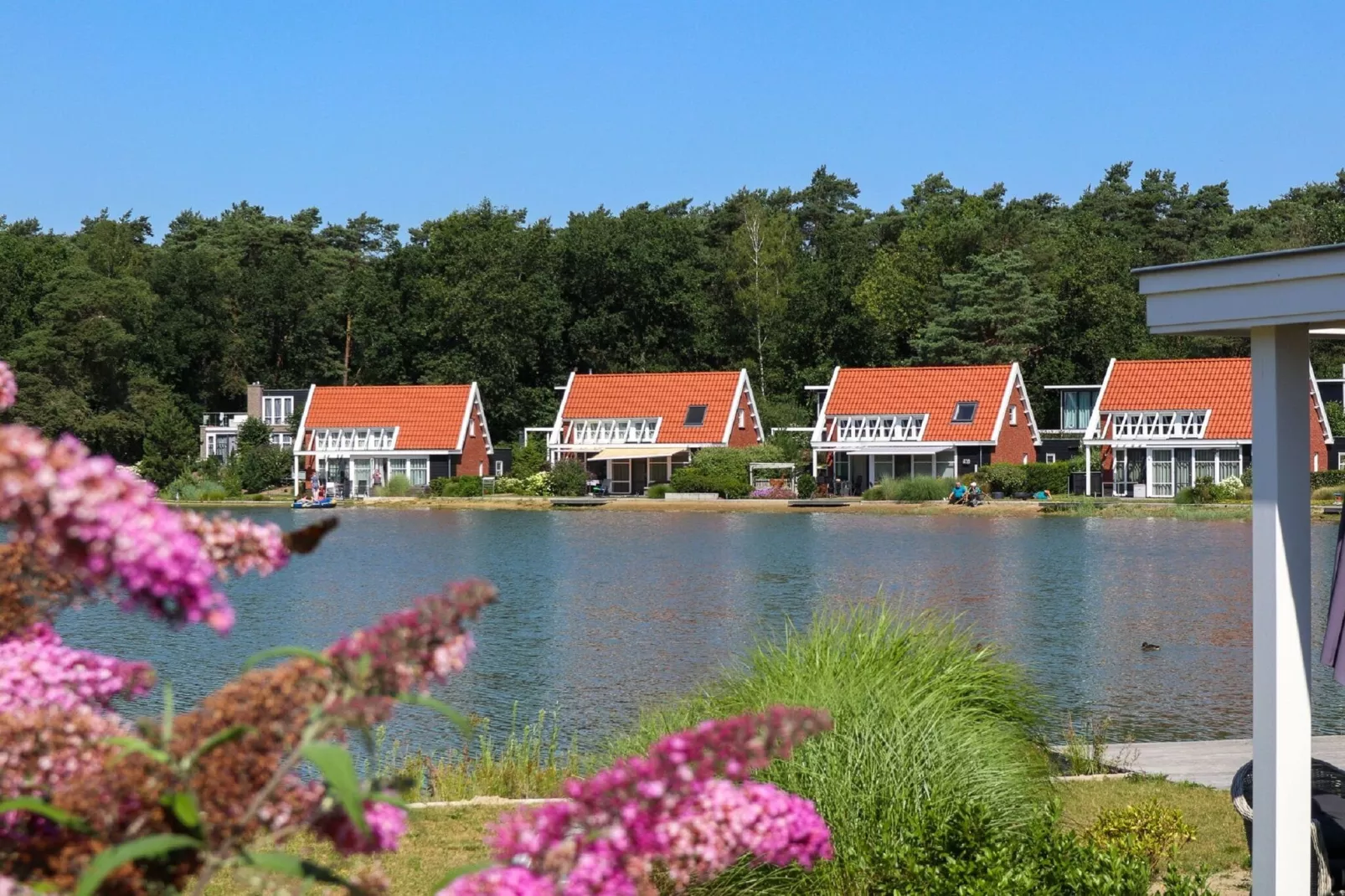 Resort De Zanding 3-Gebieden zomer 1km