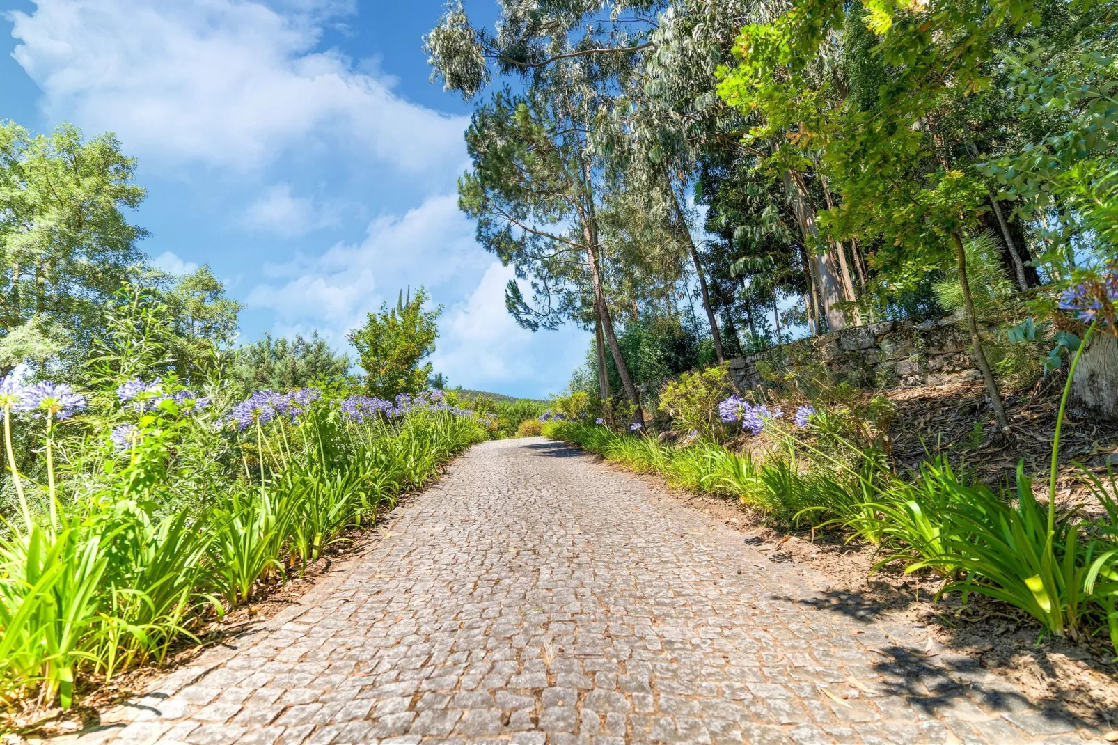 Casa das Laranjeiras-Gebieden zomer 1km