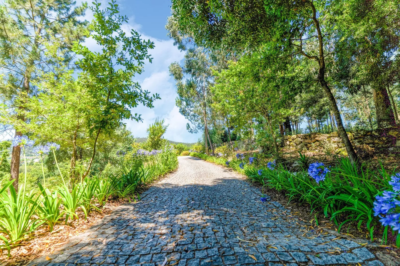 Casa das Laranjeiras-Gebieden zomer 1km