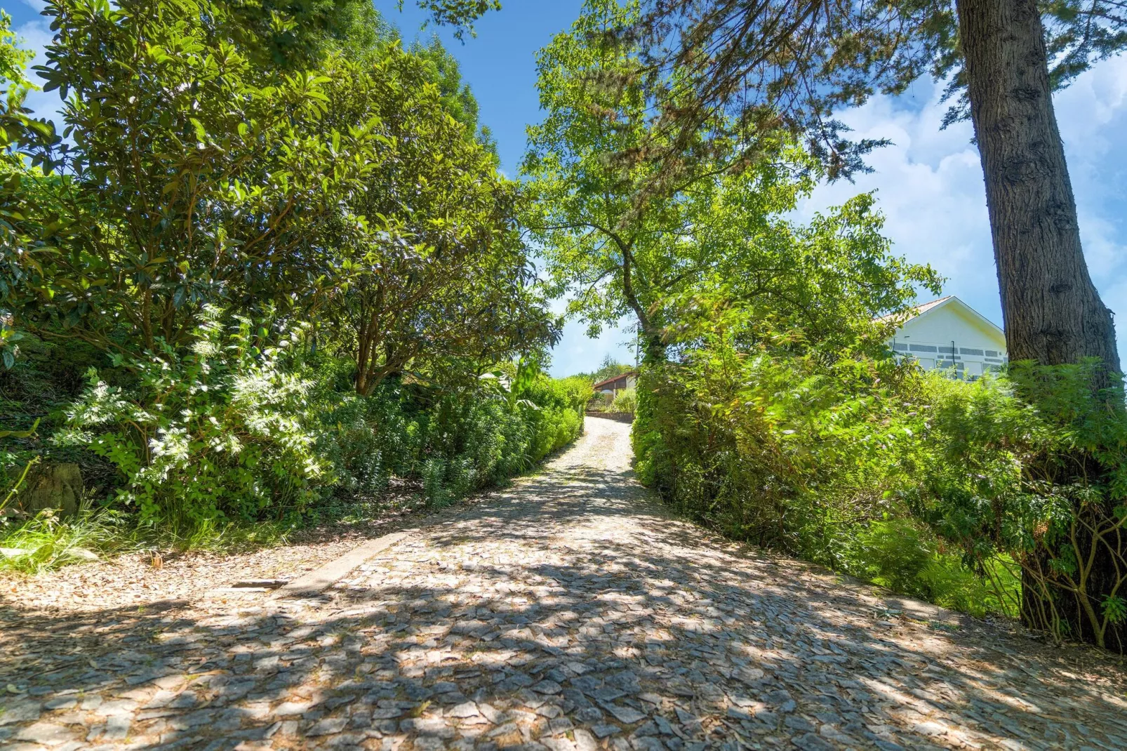 Casa das Laranjeiras-Gebieden zomer 1km