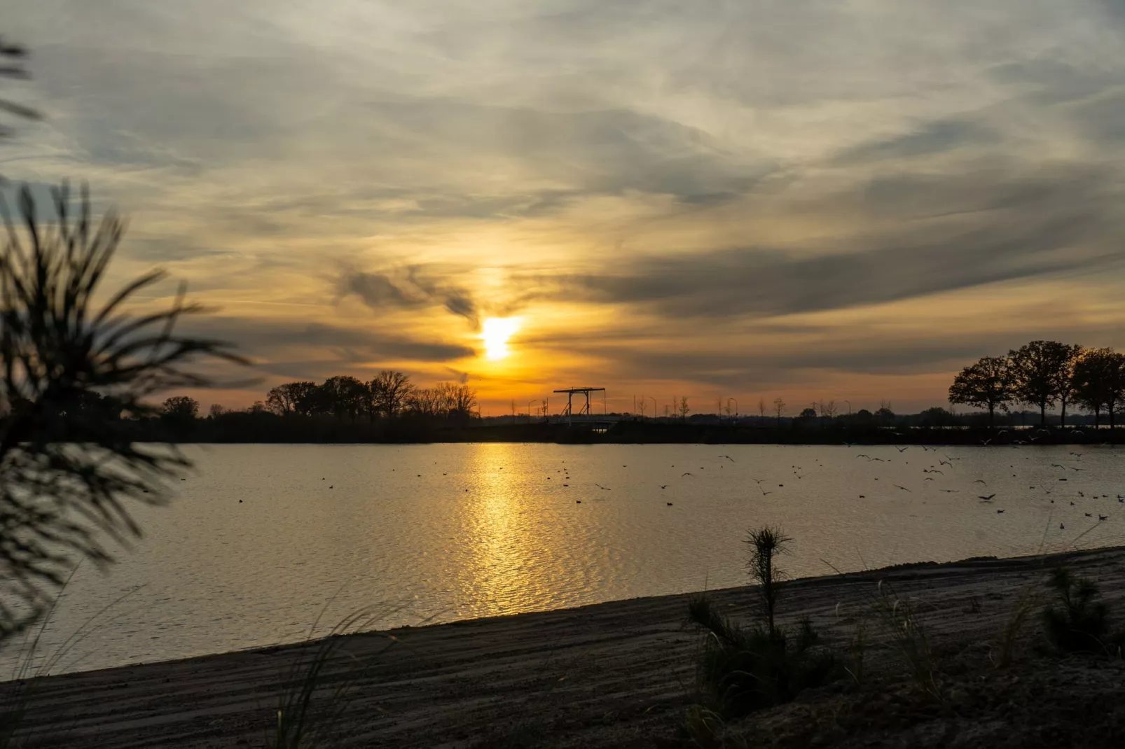 Resort Aan De Maas 6-Gebieden zomer 1km