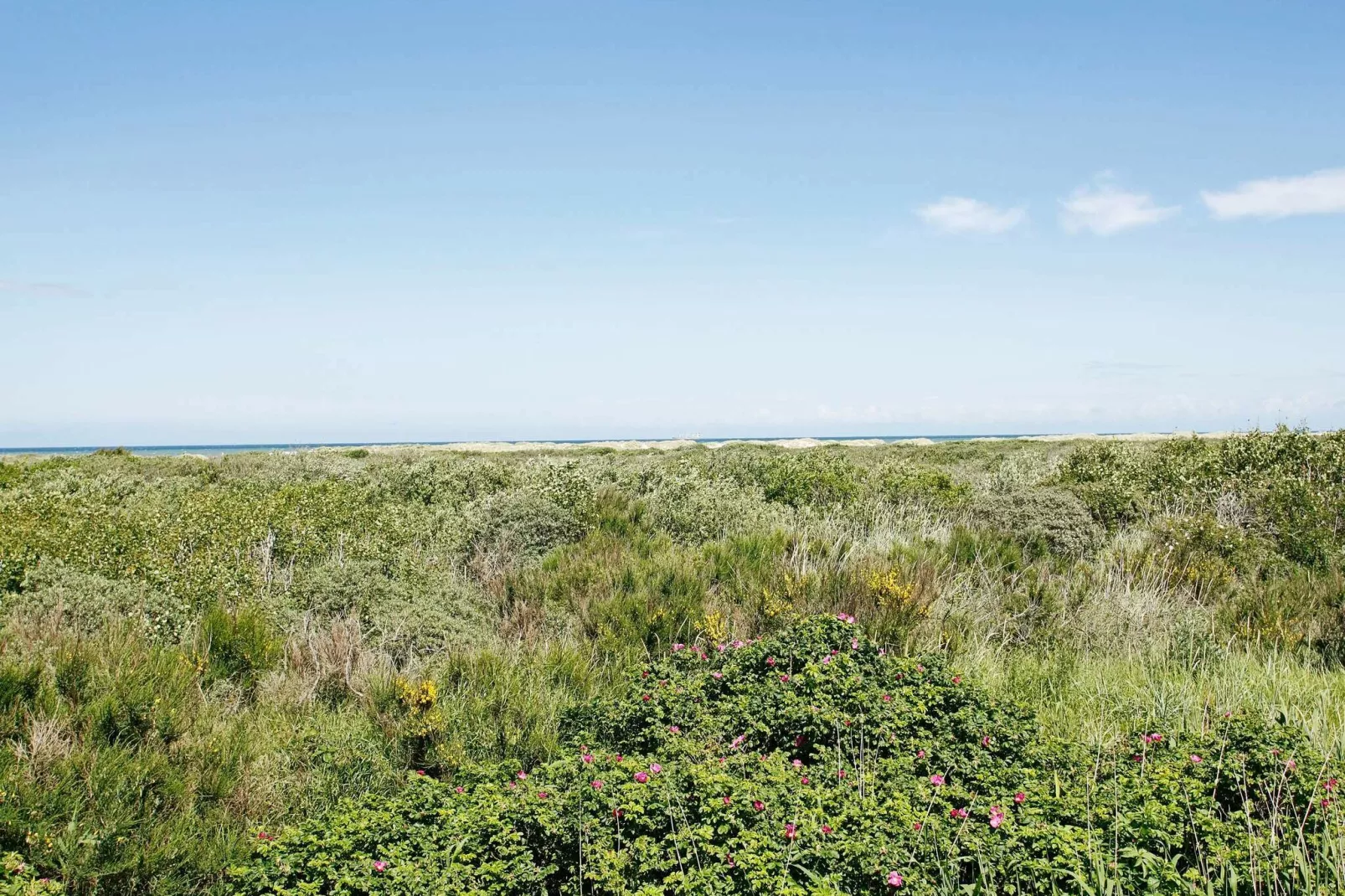 8 persoons vakantie huis in Skagen-Uitzicht