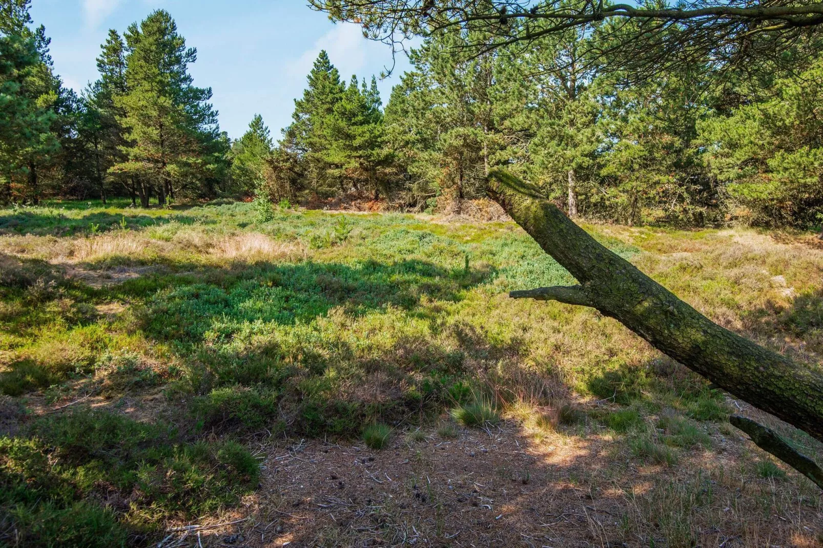 6 persoons vakantie huis in Rømø-Uitzicht