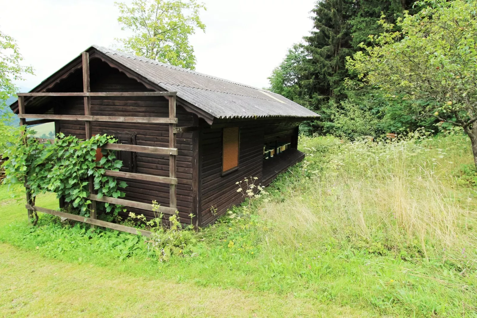 Almhaus Koralmblick-Sfeer