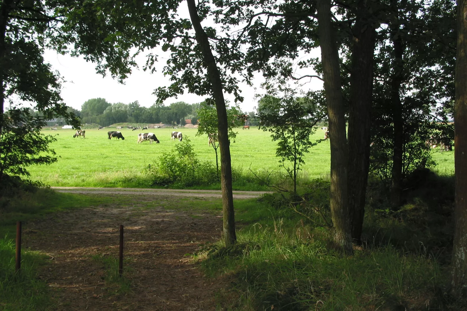 Vakantiepark Herperduin 4-Gebieden zomer 1km